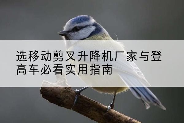 穆棱电动升降机厂家-选移动剪叉升降机厂家与登高车必看实用指南