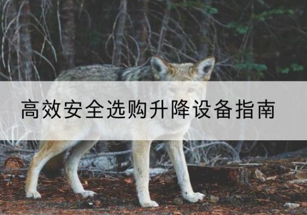 穆棱升降货梯厂家推荐-*安全选购升降设备指南